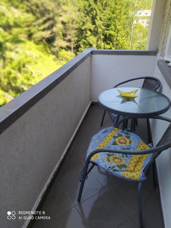 Apartament Durau * Durau