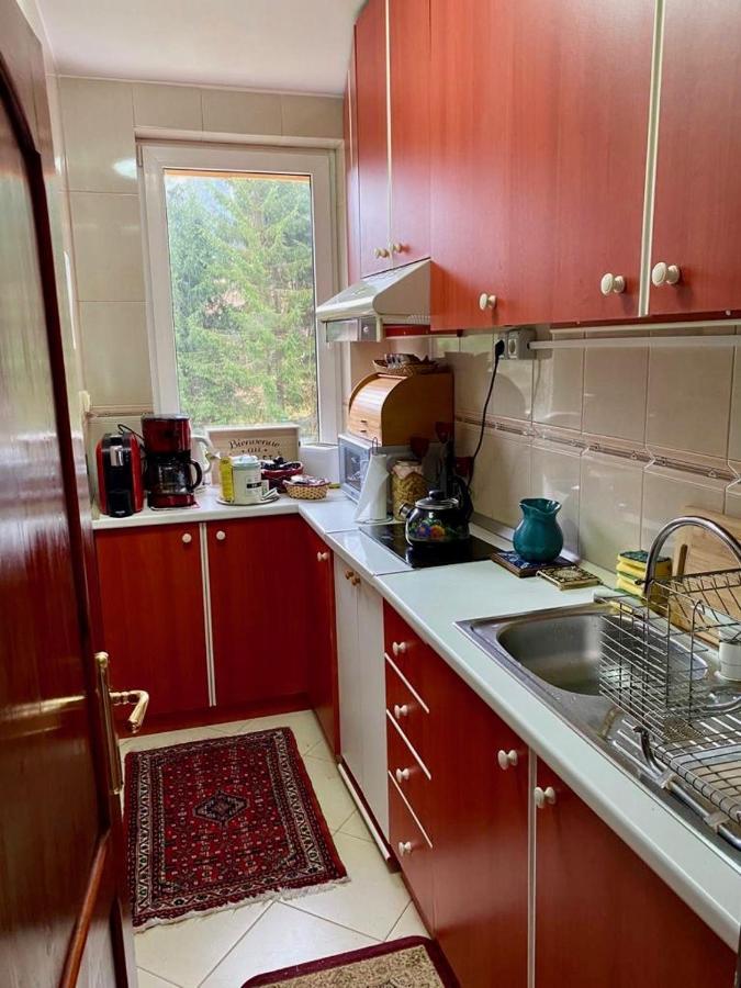 Apartament Durau *
