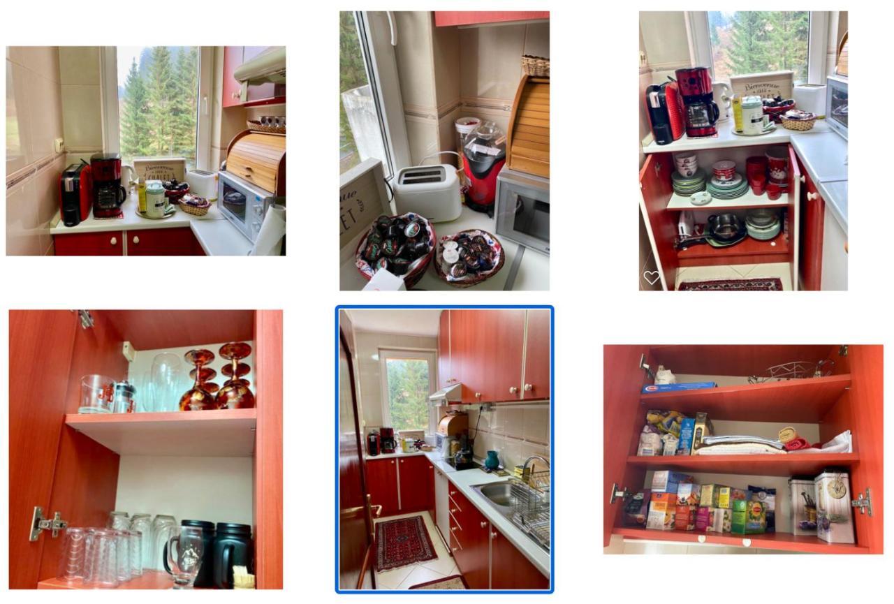 Apartament Durau *