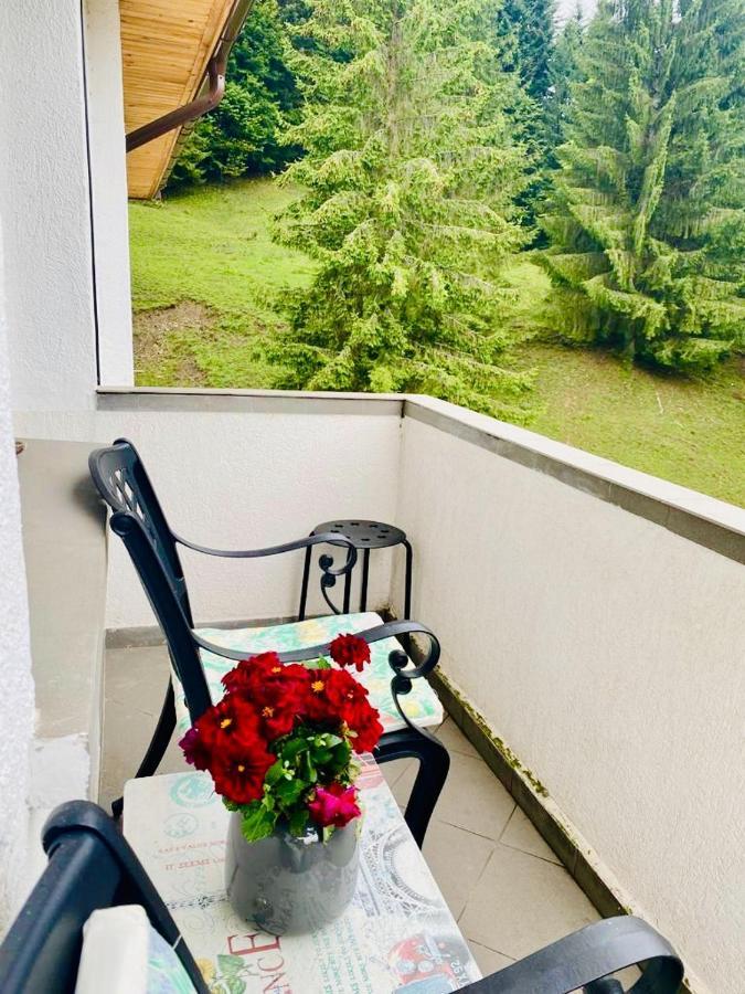 Apartament Durau Apartment